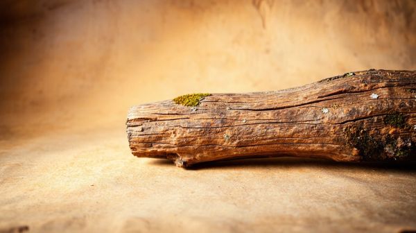 Prolongez la durée de vie de votre bois avec ces méthodes